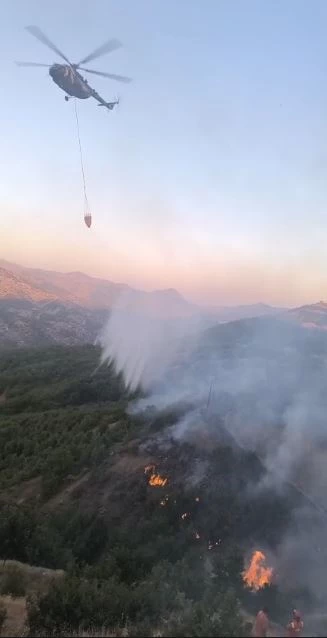 Diyarbakır- Bingöl sınırında orman yangını