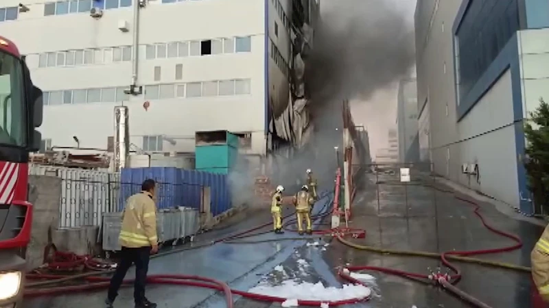 İstanbul- Arnavutköy