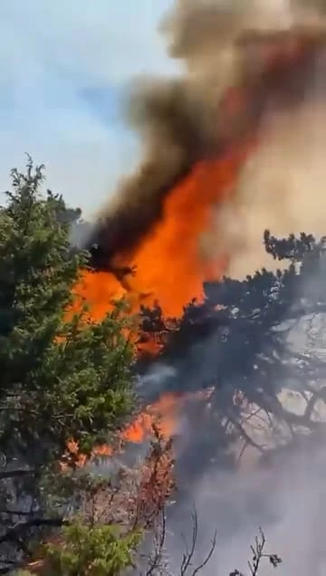 Amasya’da orman yangını