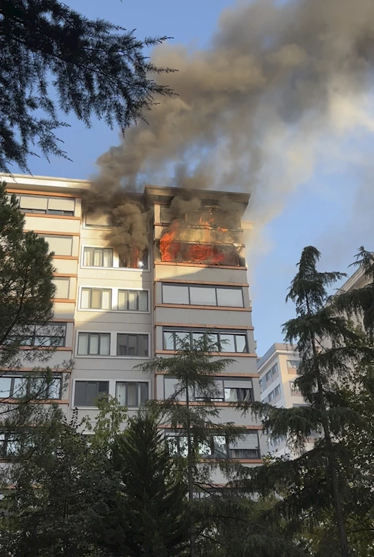 İstanbul - Kadıköy