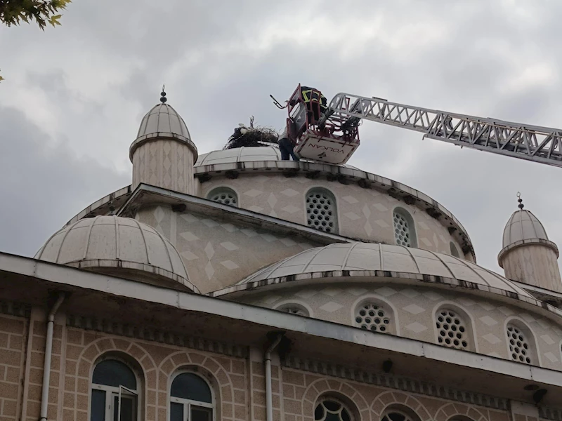 Cami kubbesinde ayağı sıkışan leylek kurtarıldı