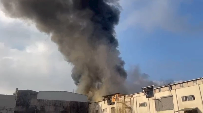 İstanbul- Bağcılar