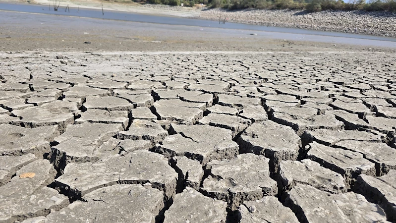 Bursa’daki 42 yıllık Çınarlı Göleti kuruma tehlikesiyle karşı karşıya; balıklar can çekişiyor