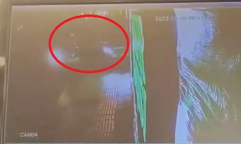 Yalova’da çarpışan 2 otomobil kuruyemiş dükkanına daldı; o anlar kamerada