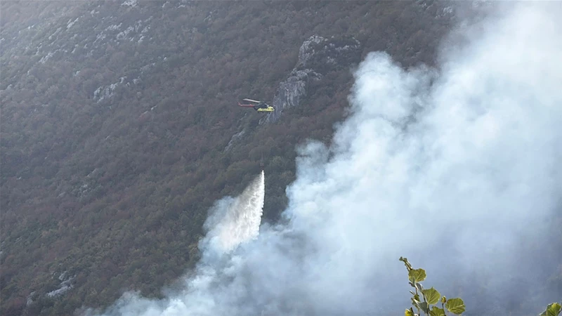 Küre Dağları Milli Parkı