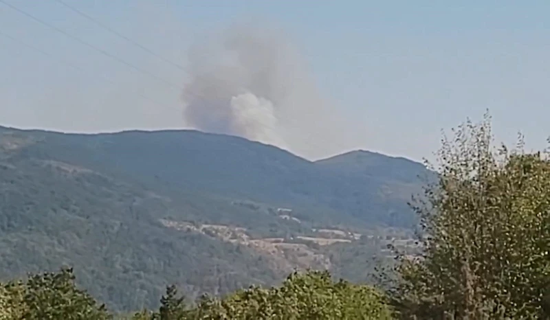 Karabük’te orman yangını