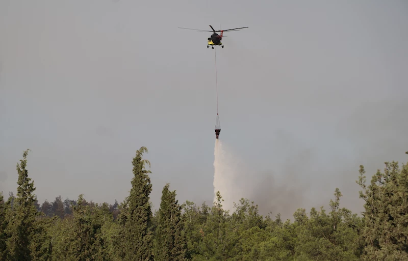 Pamukkale’de çıkan orman yangını söndürüldü; 3 gözaltı