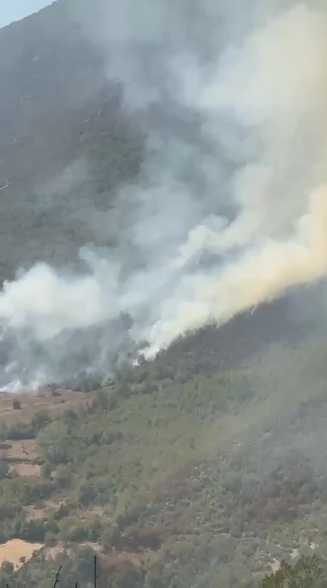 Küre Dağları Milli Parkı