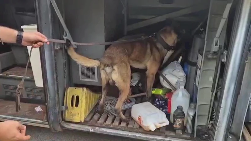 Otobüste, yolcunun valizinde 1 kilo 182 gram skunk ele geçirildi