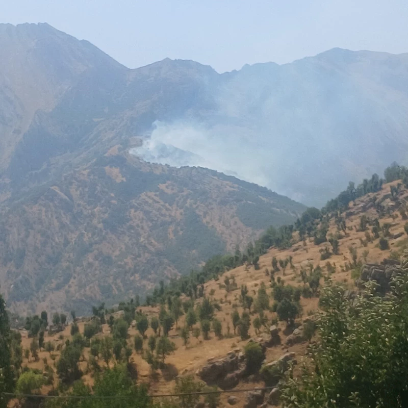 Şırnak’ta ormanda örtü yangını 