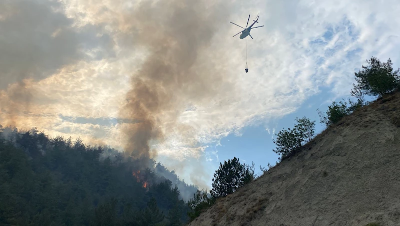 Karabük’te orman yangını