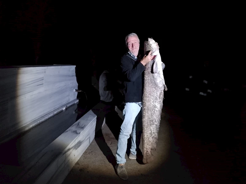 Oltasına 40 kiloluk yayın balığı takıldı