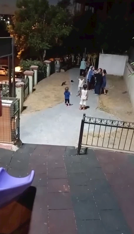 İstanbul - Kağıthane’de parkta çocuklar arasındaki kavgaya anneler de dahil oldu: 