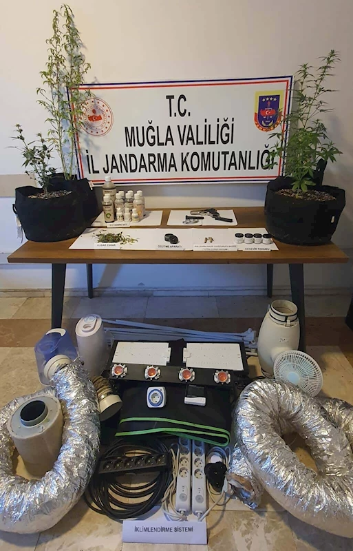 Evde iklimlendirme sistemiyle uyuşturucu yetiştiren 2 şüpheliye gözaltı