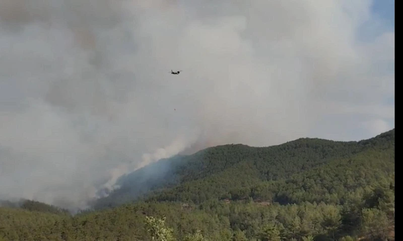 Karabük’te orman yangını 2’nci gününde (2) / Video eklendi