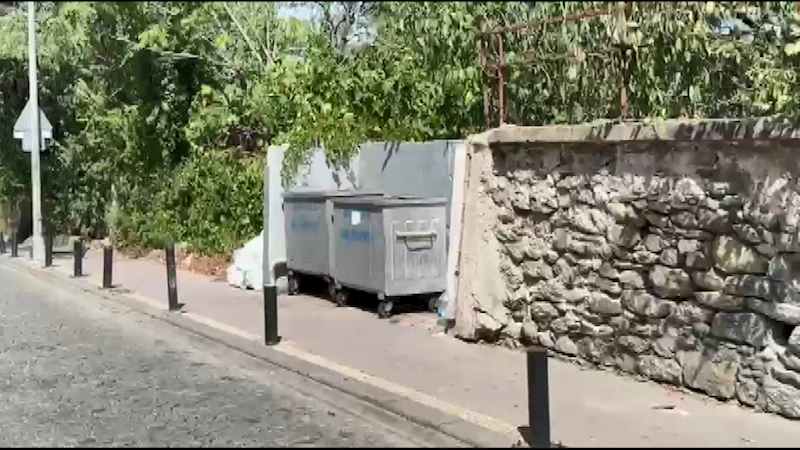 İstanbul- Beşiktaş