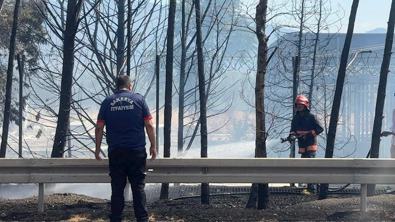 Ağaçlık alanda çıkan yangın, kontrol altına alındı