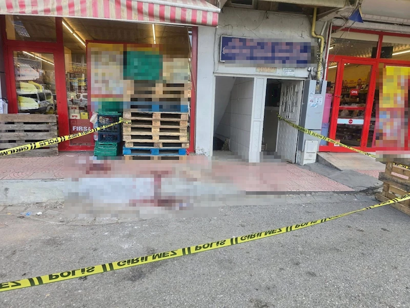 Ağabeyini bıçaklayan 17 yaşındaki şüpheli tutuklandı