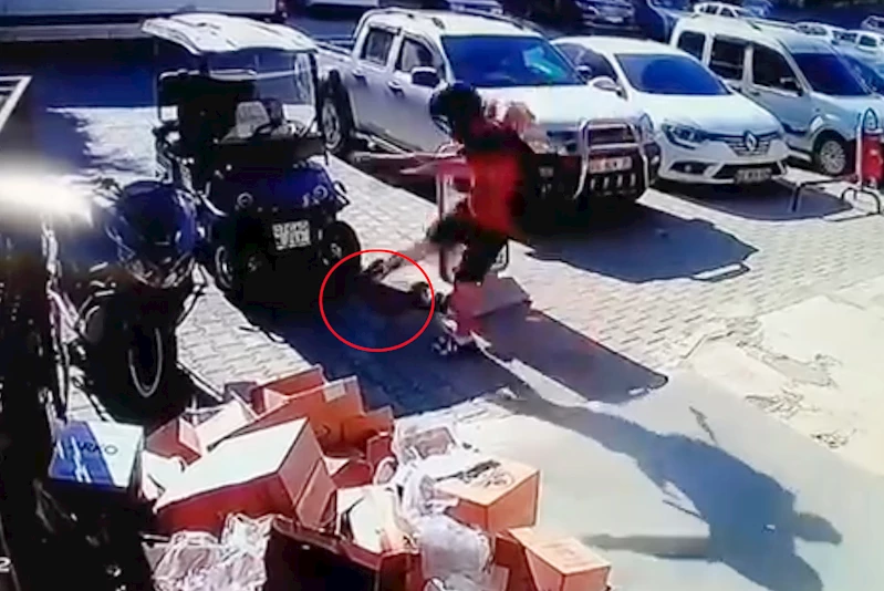 Kediyi tekmeledi tutuklandı