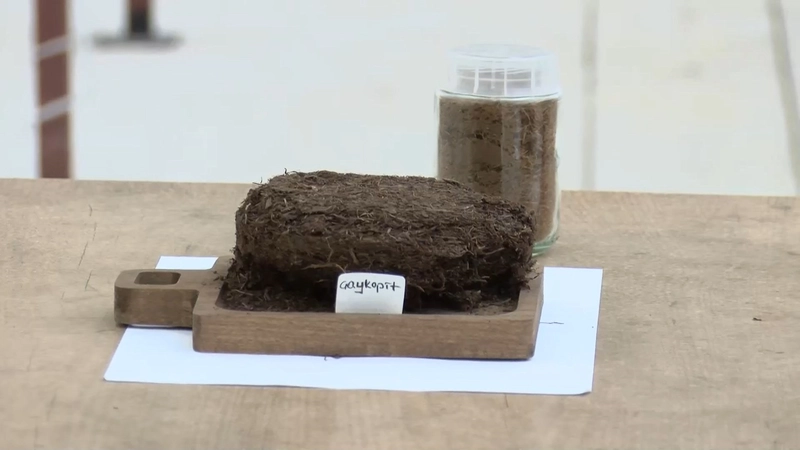 Rize- Çay atığından topraksız tarım; ‘kokopit’e alternatif ‘çaykopit’ /Video eklendi 