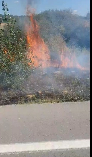 Bolu - Yol kenarında, ağaçlık alanda çıkan yangın büyümeden söndürüldü /Video eklendi 