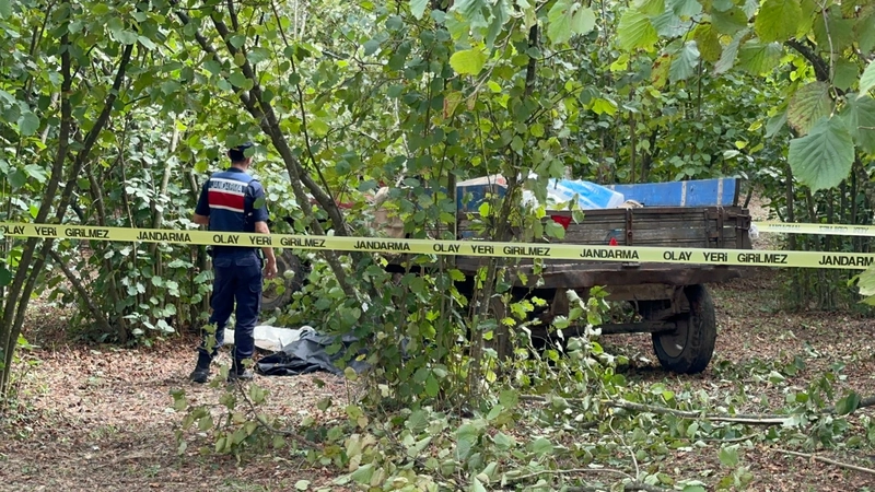 Traktörden düşüp teker ile ağaç arasına sıkışan sürücü öldü