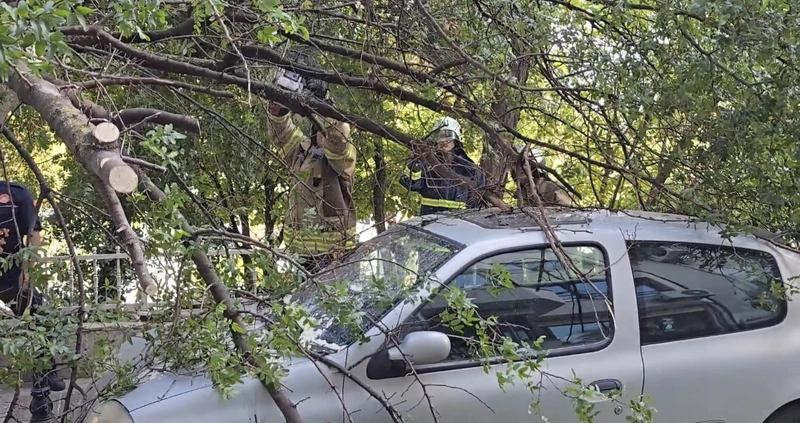 İstanbul - Kadıköy’de yola ağaç devrildi, 2 otomobilde hasar oluştu