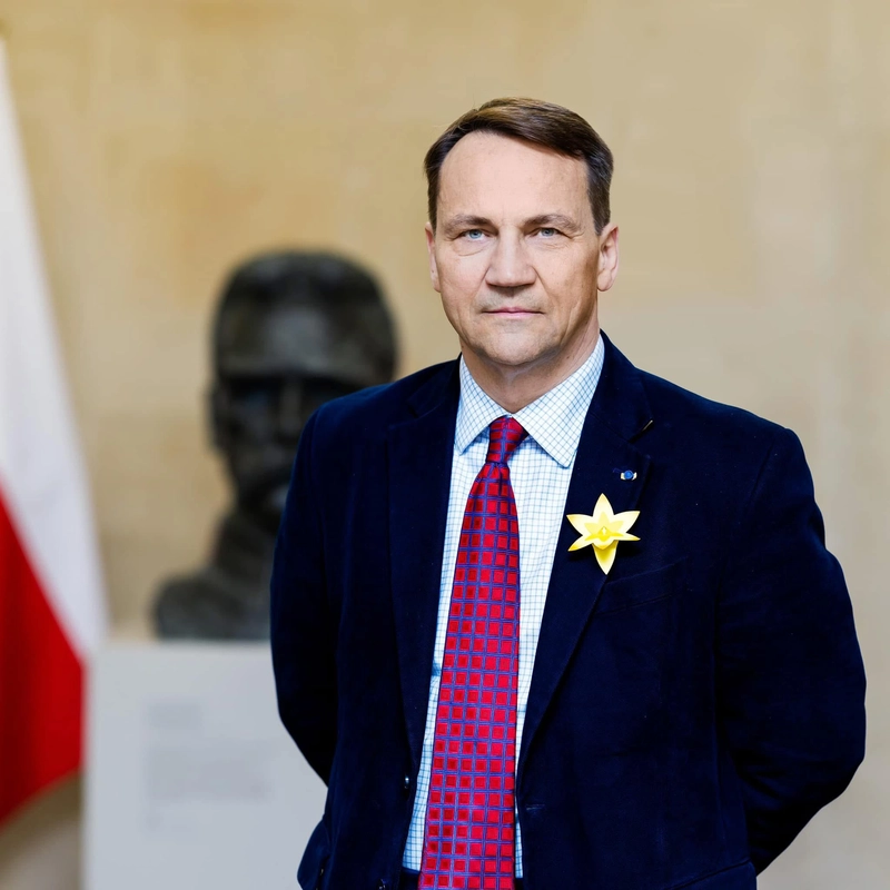 Polonya: Rusya’nın İHA saldırıları NATO ve müttefiklerini test ediyor