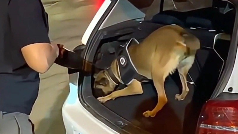 74 ilde uyuşturucu satıcılarına operasyonda 1811 gözaltı