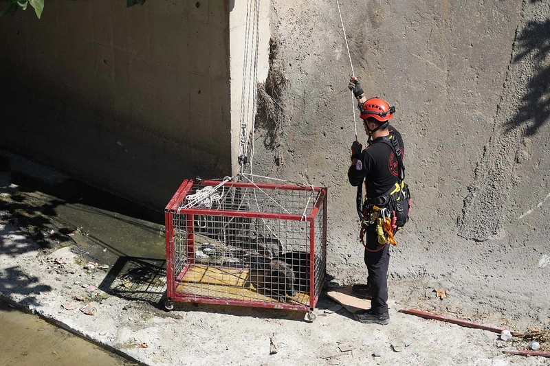 Menfezde mahsur kalan köpek belediye ekipleri tarafından kurtarıldı