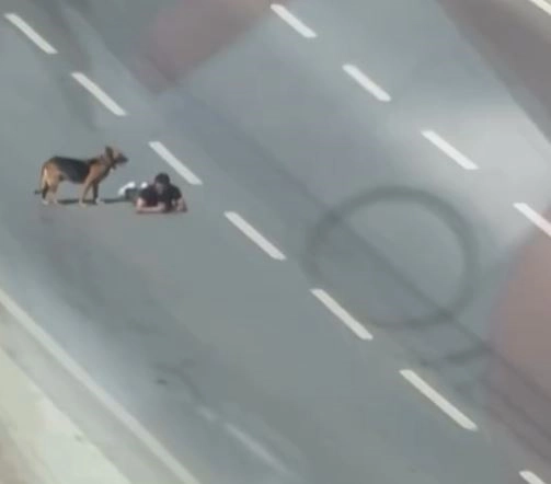 Samsun’da bir kişi, ana yolun sağ şeridinde sürünerek ilerledi; o anlar kamerada