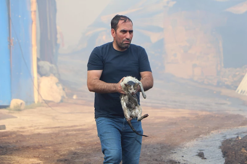 Alevlerin arasına girip kediyi kurtardı