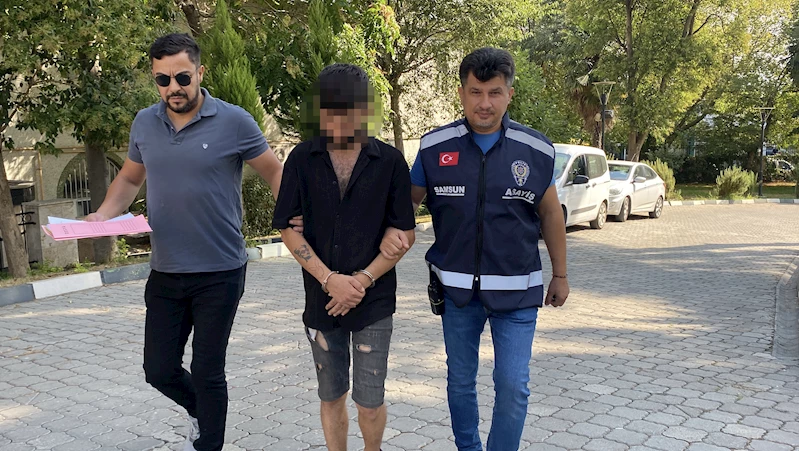 Park halindeki kamyonetin 10 bin lira değerindeki havalı kornasını çaldı