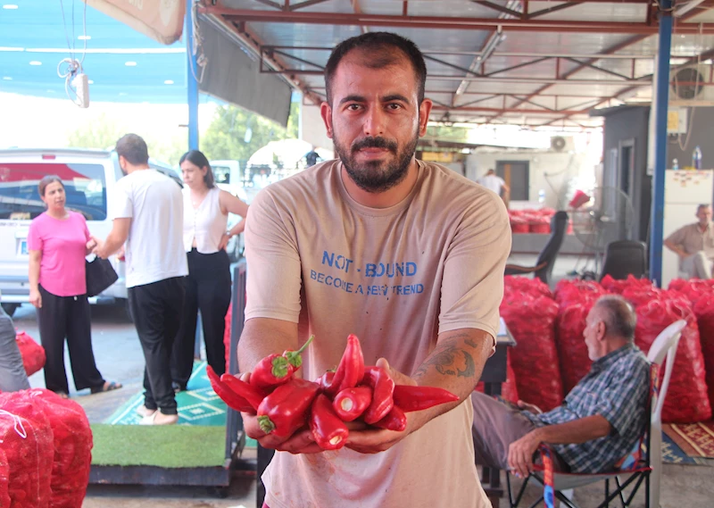 Tescilli biberin salça yolculuğu başladı / Ek fotoğraflar