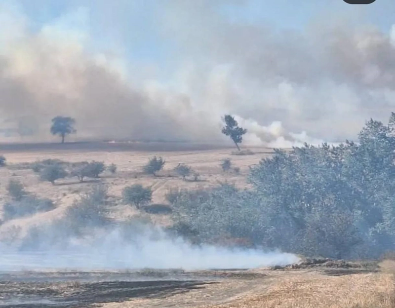 Edirne’de buğday tarlasından ağaçlara sıçrayan yangın söndürüldü