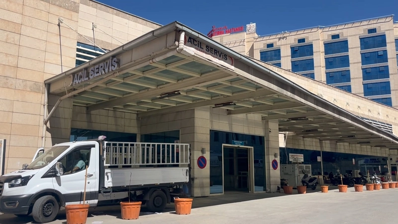 Ceviz toplarken ağaçtan düşüp öldü