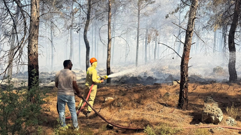 Antalya’da orman yangını, hızlı müdahale ile büyümeden kontrol altına alındı