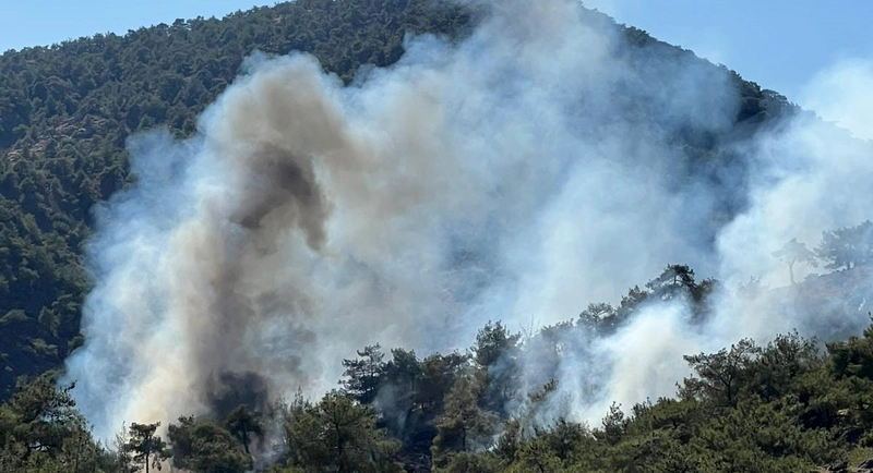 Gaziantep’te orman yangını 1,5 saatte söndürüldü