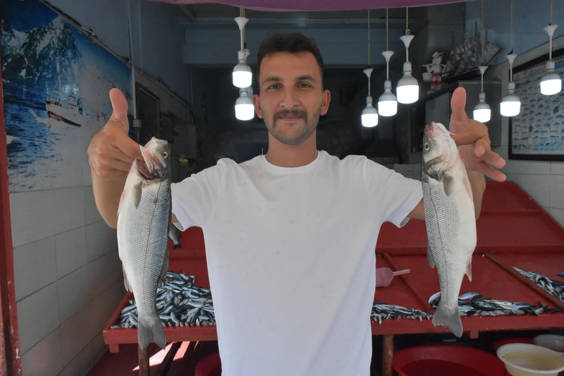 Denizdeki sardalya bolluğu fiyatlara yansıdı