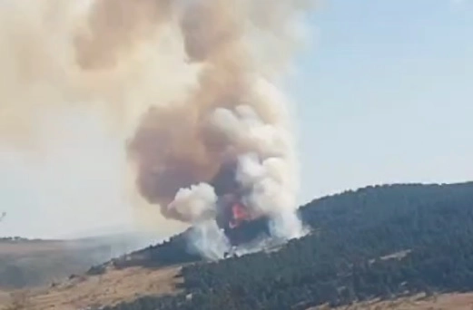 Çankırı’da çıkan orman yangını kontrol altına alındı