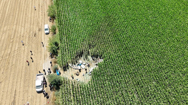 İzmir - Eğitim uçağı mısır tarlasına düştü; öğrenci pilot Berfu hayatını kaybetti (2) /Video eklendi 