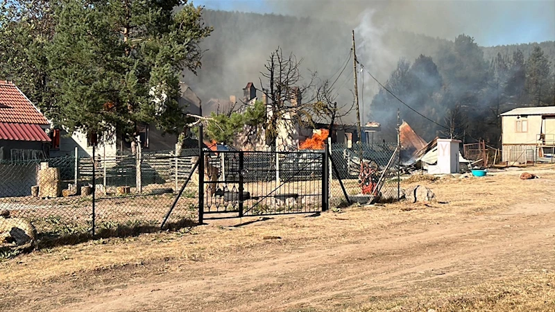 Bolu’da, yayladaki yangında 12 yapı kullanılamaz hale geldi