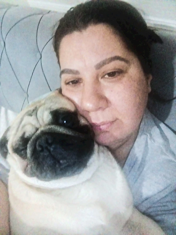 Sahibinin tatile çıkarken pet otele bıraktığı ‘Alf’ öldü