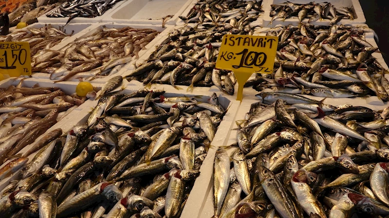 Av yasağı bitti, tezgahlar istavritle doldu