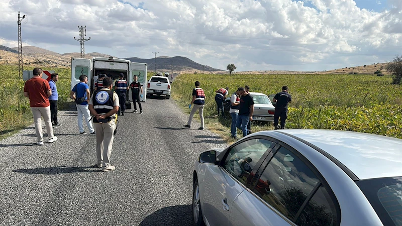 Husumetlileri tarafından av tüfeğiyle vurulan 2 kardeş öldü