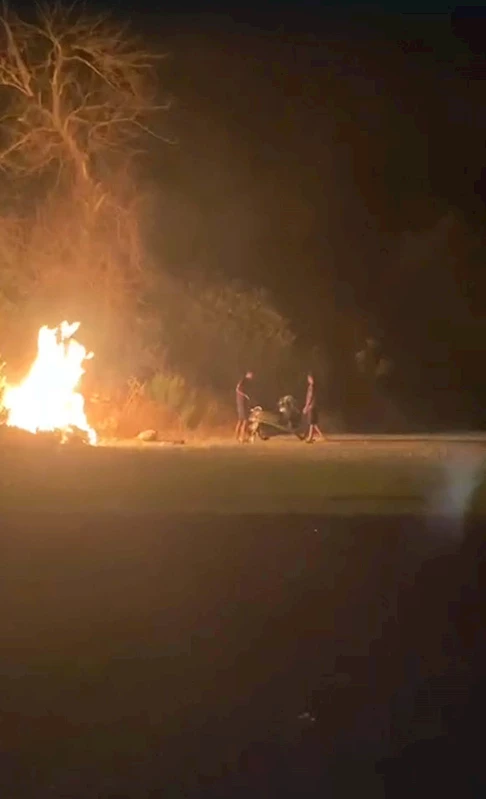 Ormanı ateşe verdiler; o anlar kamerada